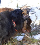 Превью фото № 177377