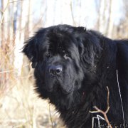 Превью фото № 177383