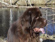 Превью фото № 177389