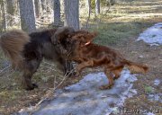 Превью фото № 177390