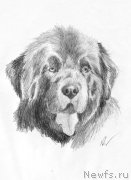 Превью фото № 177485