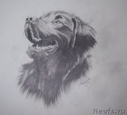 Превью фото № 177504