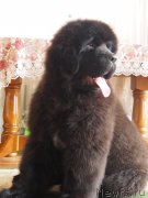 Превью фото № 177505