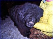 Превью фото № 177521