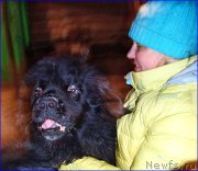 Превью фото № 177526