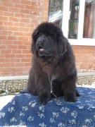 Превью фото № 177587