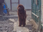 Превью фото № 177594