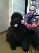 Превью фото № 177606