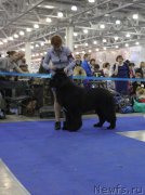 Превью фото № 177654