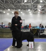 Превью фото № 177659