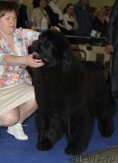 Превью фото № 177686