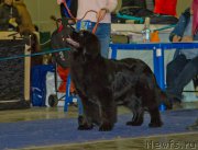 Превью фото № 177688