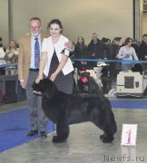 Превью фото № 177690