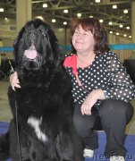 Превью фото № 177725