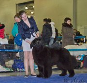 Превью фото № 177779