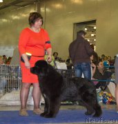 Превью фото № 177786