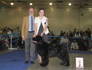 Превью фото № 177856