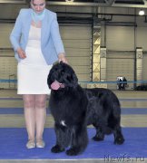 Превью фото № 177863