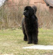 Превью фото № 177876