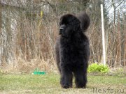 Превью фото № 177877