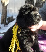 Превью фото № 177879