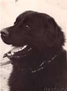 Превью фото № 177898