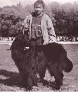 Превью фото № 177899