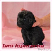 Превью фото № 177929