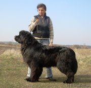 Превью фото № 178030