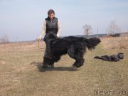 Превью фото № 178056