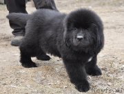 Превью фото № 178082