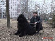 Превью фото № 178087