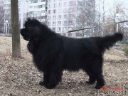 Превью фото № 178089