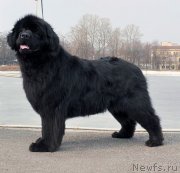 Превью фото № 178115