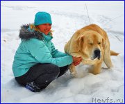 Превью фото № 178128