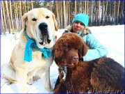 Превью фото № 178139