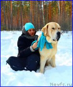 Превью фото № 178148