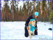 Превью фото № 178153