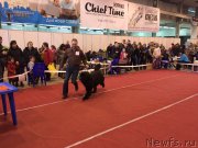 Превью фото № 178158