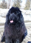 Превью фото № 178204