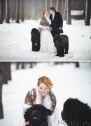 Превью фото № 178211