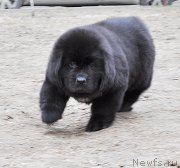 Превью фото № 178219