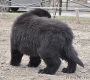 Превью фото № 178236