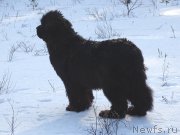 Превью фото № 178240