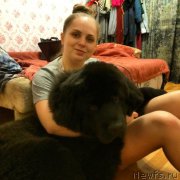 Превью фото № 178394