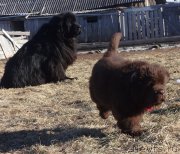 Превью фото № 178483