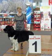 Превью фото № 178492