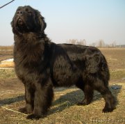 Превью фото № 178542