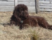 Превью фото № 178619