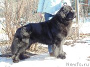 Превью фото № 178656